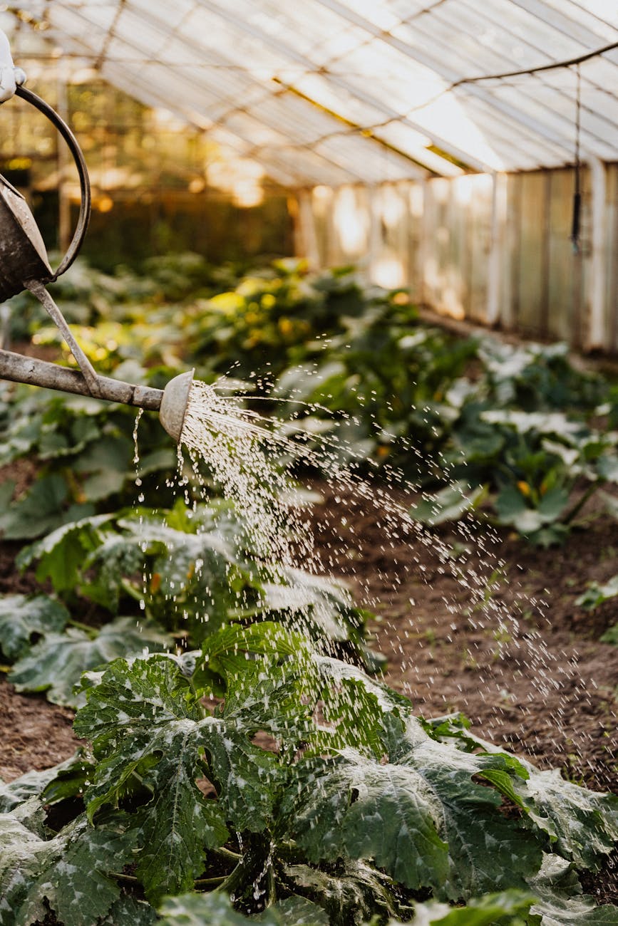 Grow Where It Grows: Pipeline lessons from a stubborn patch of soil